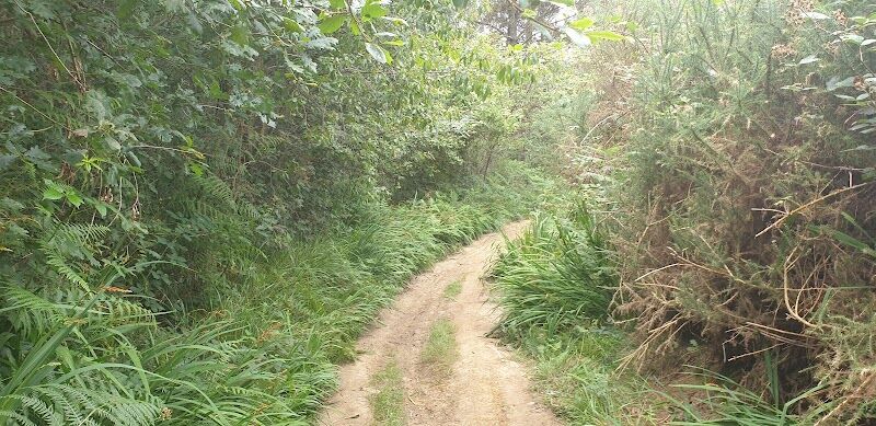 Imagen representativa de la localización