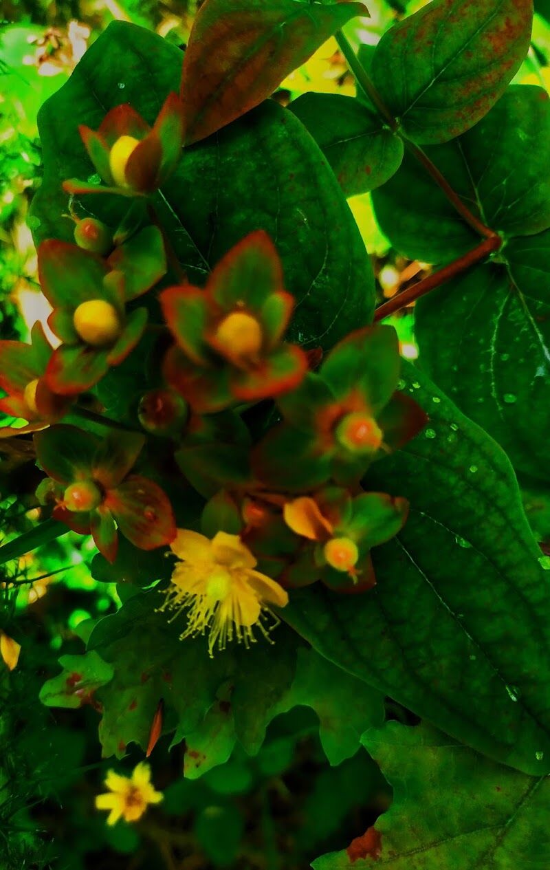 Imagen representativa de la localización