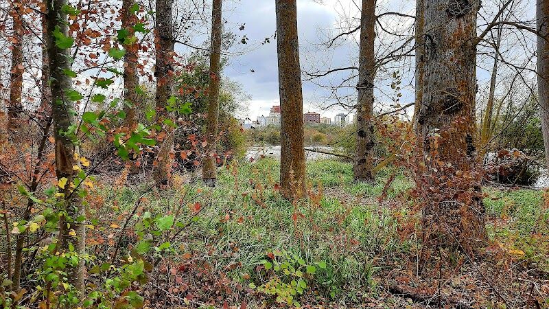 Imagen representativa de la localización