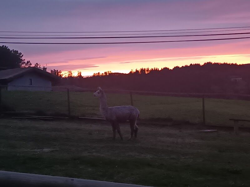 Imagen de Basondoko Haur Parkea/parque Infantil de Basondo