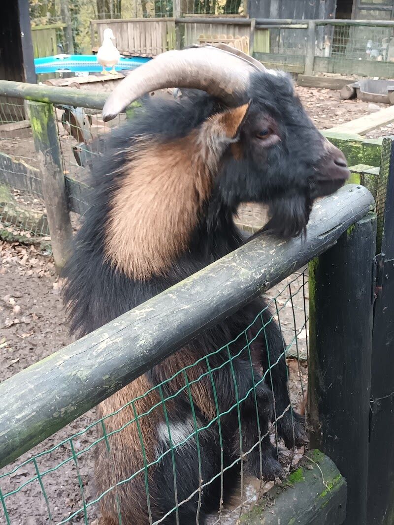 Imagen de Basondoko Haur Parkea/parque Infantil de Basondo