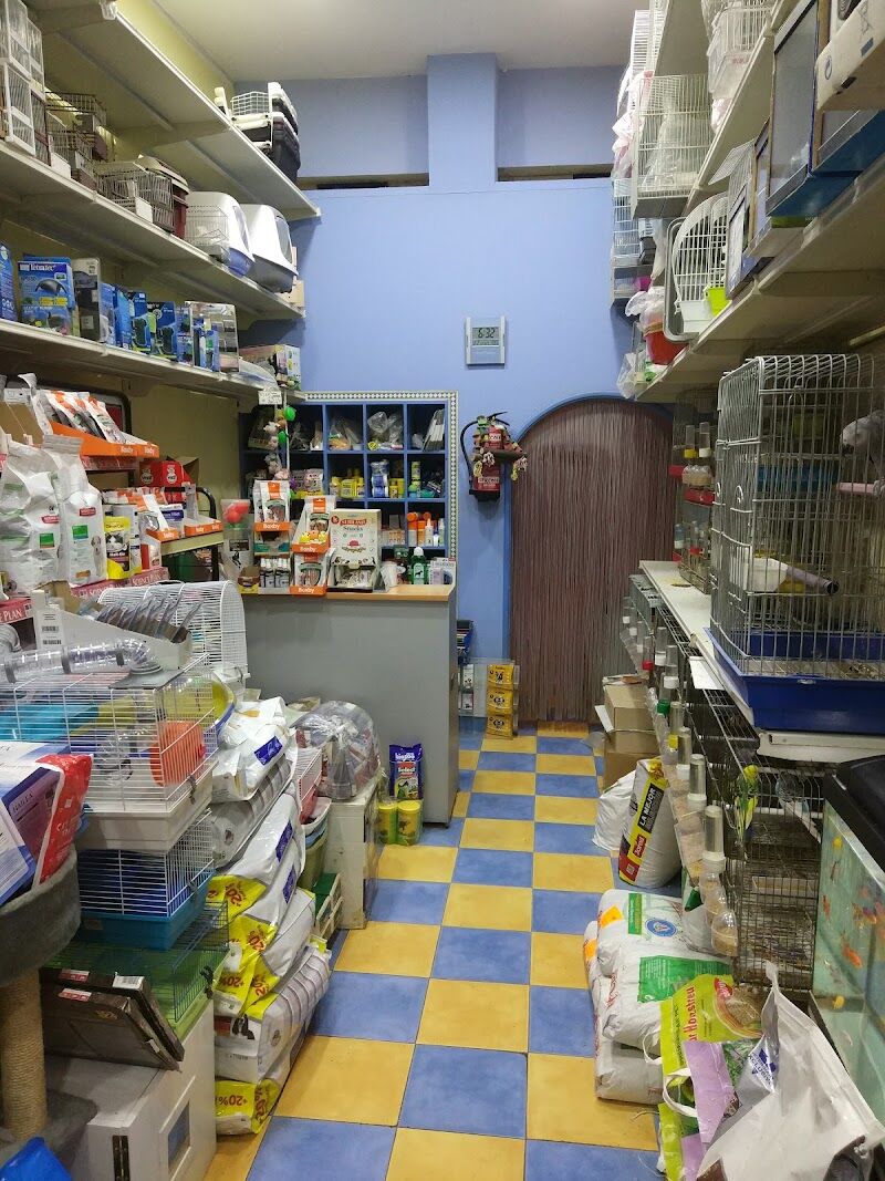 Imagen de negocio en Refugio de animales en San Vicente de Barakaldo