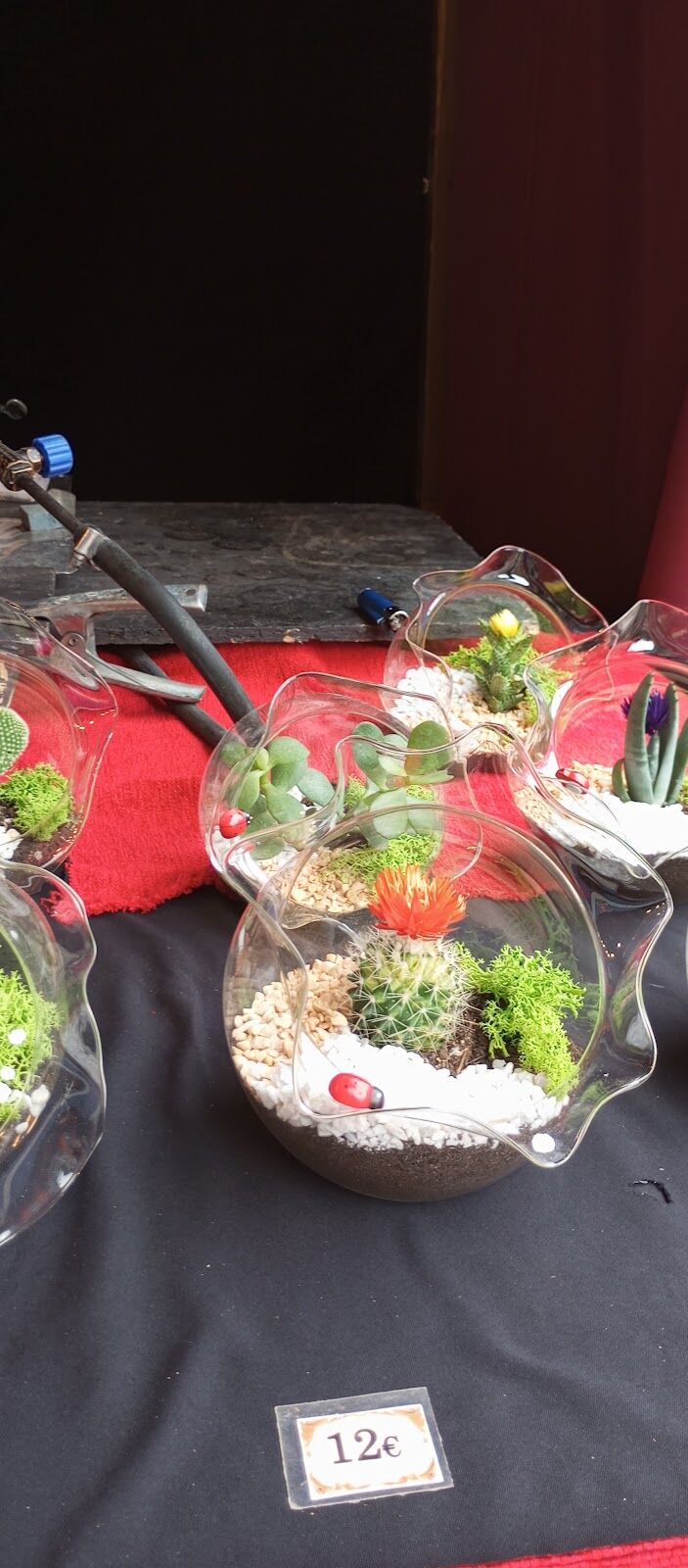 Imagen representativa de la localización