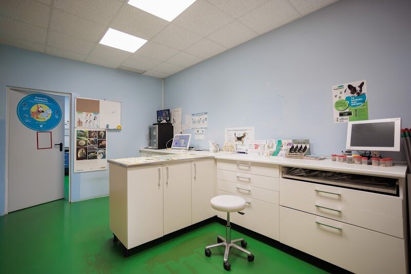 Imagen de Instituto Médico Veterinario de Álava – Imva