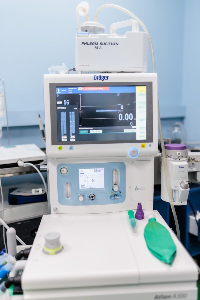 Imagen de Instituto Médico Veterinario de Álava – Imva