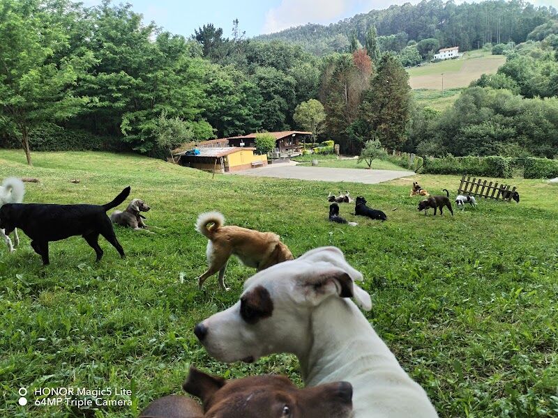 Imagen de negocio en Servicio de vacunación para mascotas en Provincia de Vizcaya