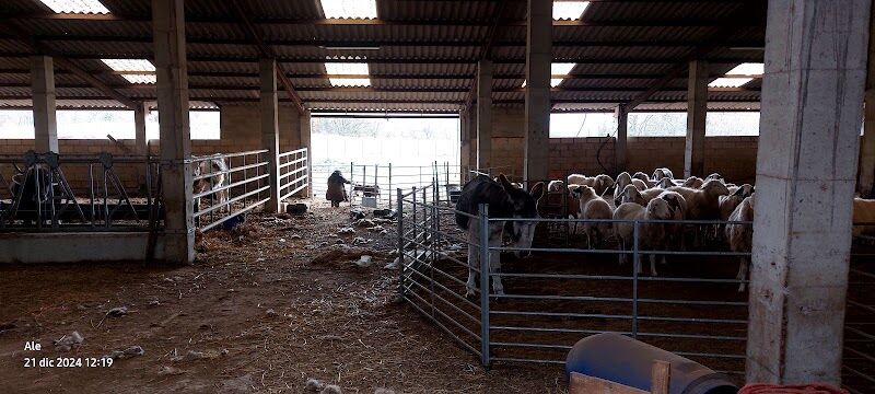 Imagen representativa de la localización