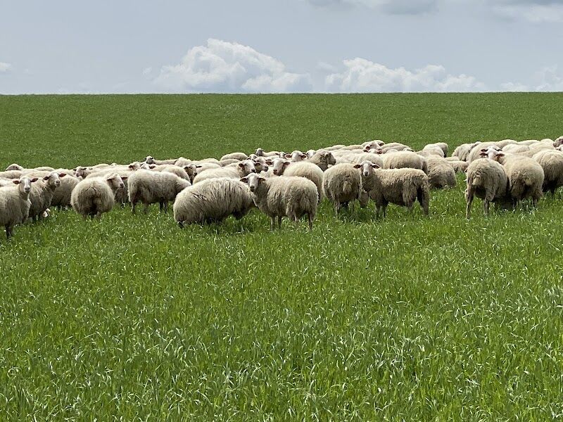 Imagen representativa de la localización