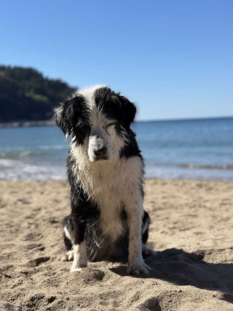 Imagen representativa de la localización