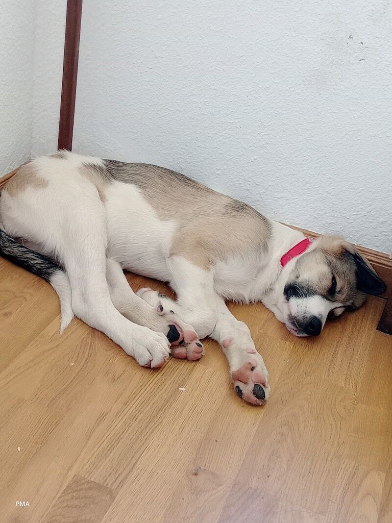 Imagen representativa de la localización