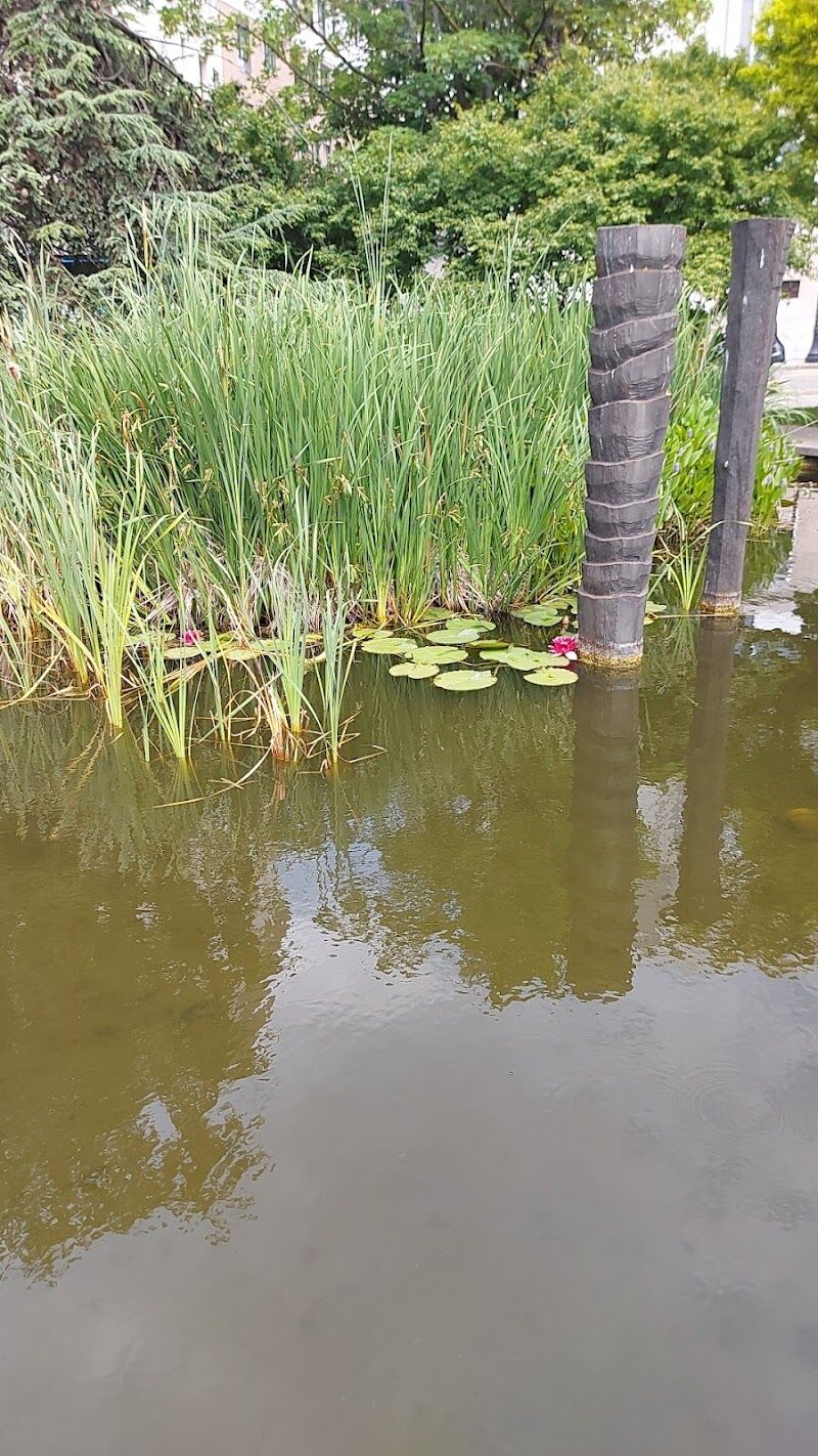 Imagen representativa de la localización