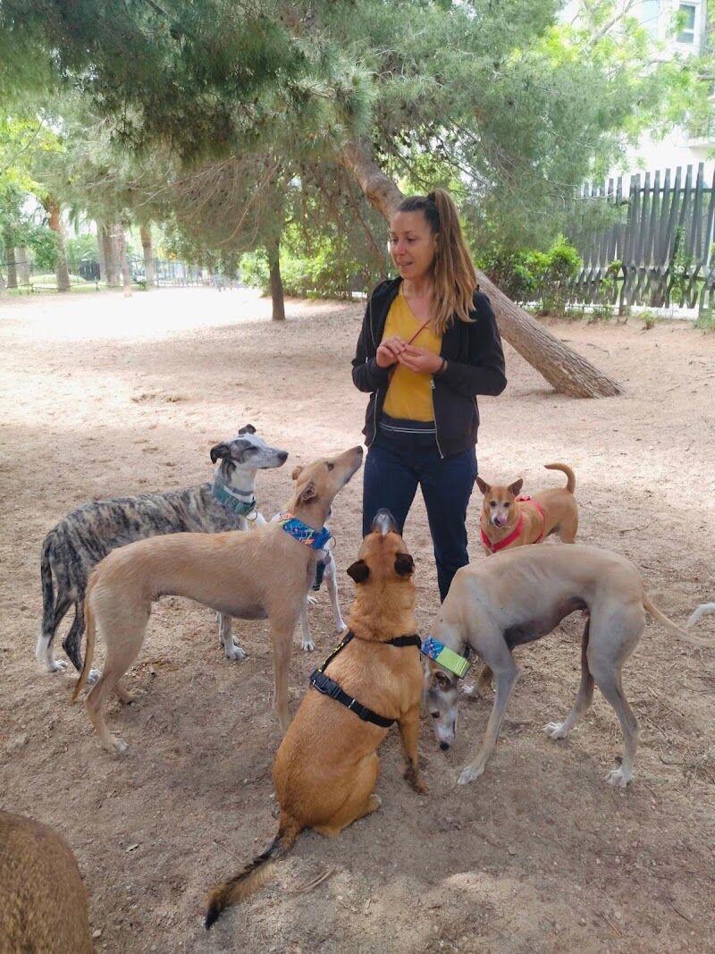 Imagen de negocio en Adiestramiento de mascotas en Barcelona