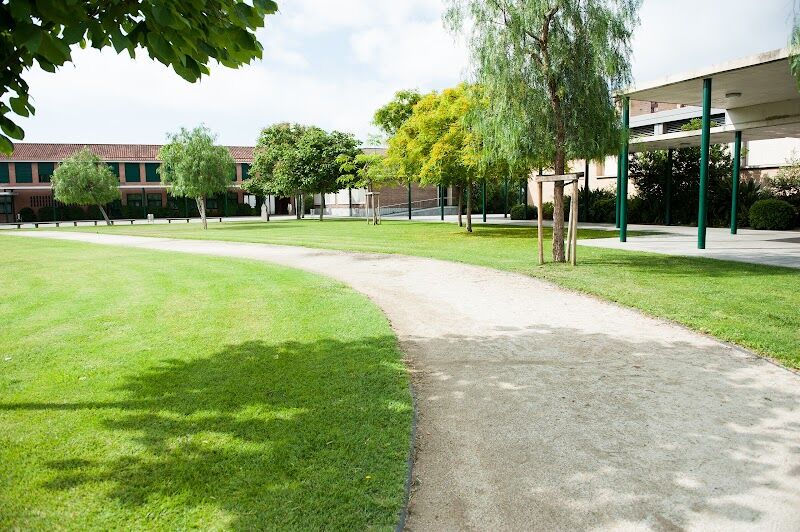 Imagen de Col·legi Pineda