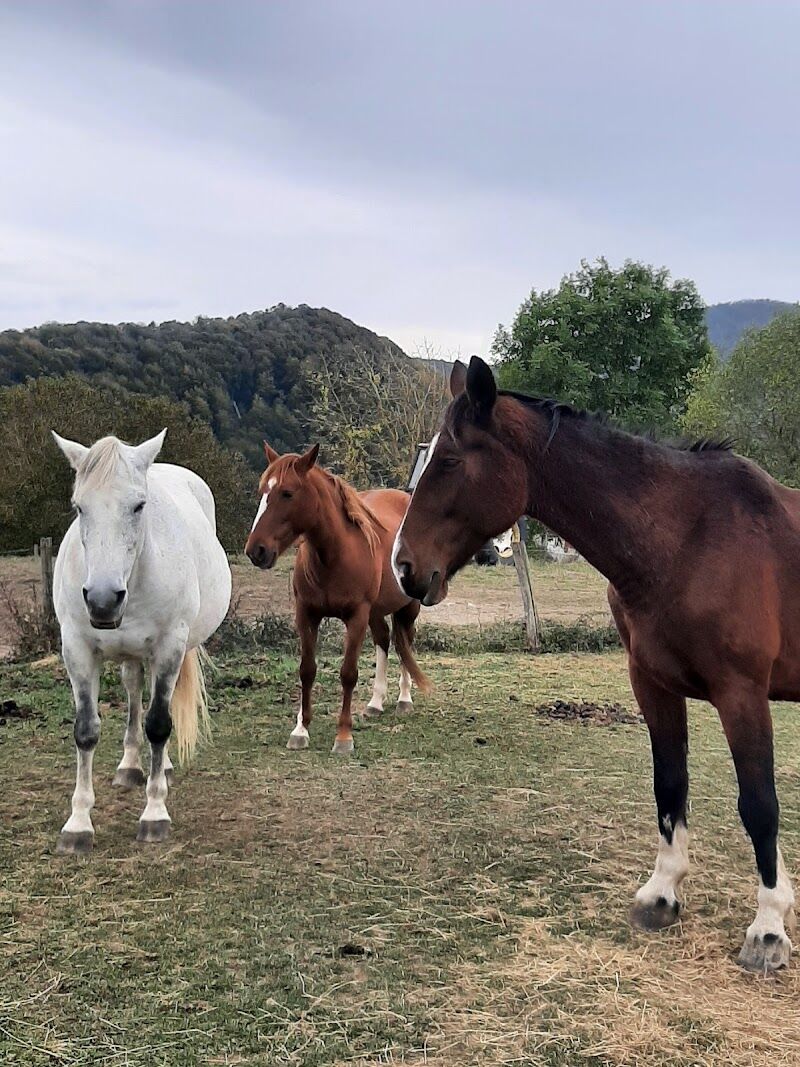 Imagen de negocio en Actividades al aire libre en Provincia de Navarra