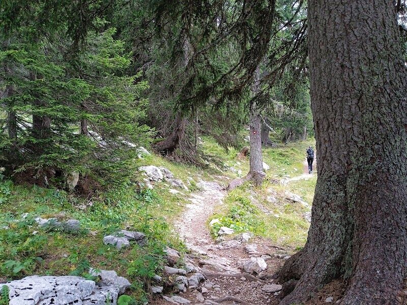 Imagen de Las Montañas de Abril