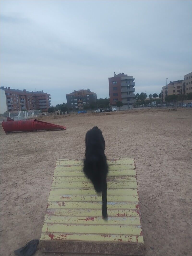 Imagen de Riojacan Adiestramiento Canino