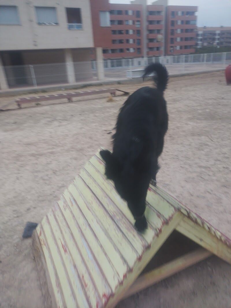 Imagen de Riojacan Adiestramiento Canino