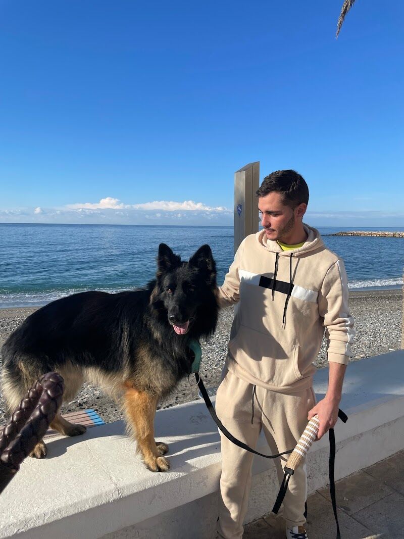 Imagen de negocio en Adiestramiento de mascotas en Castillo de Baños