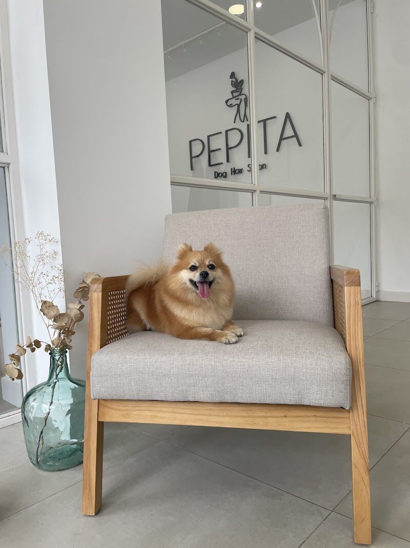 Imagen de negocio en Baño y spa para mascotas en Almería