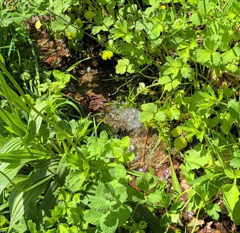 Imagen representativa de la localización