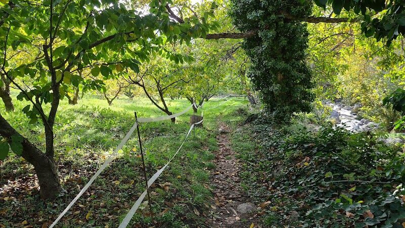 Imagen representativa de la localización