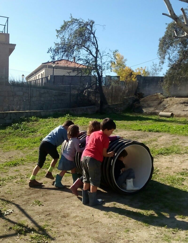 Imagen de Alavida. Colegio Respetuoso y de Educación Activa en Madrid