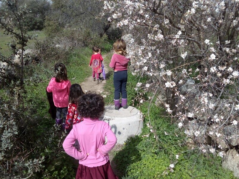Imagen de Alavida. Colegio Respetuoso y de Educación Activa en Madrid