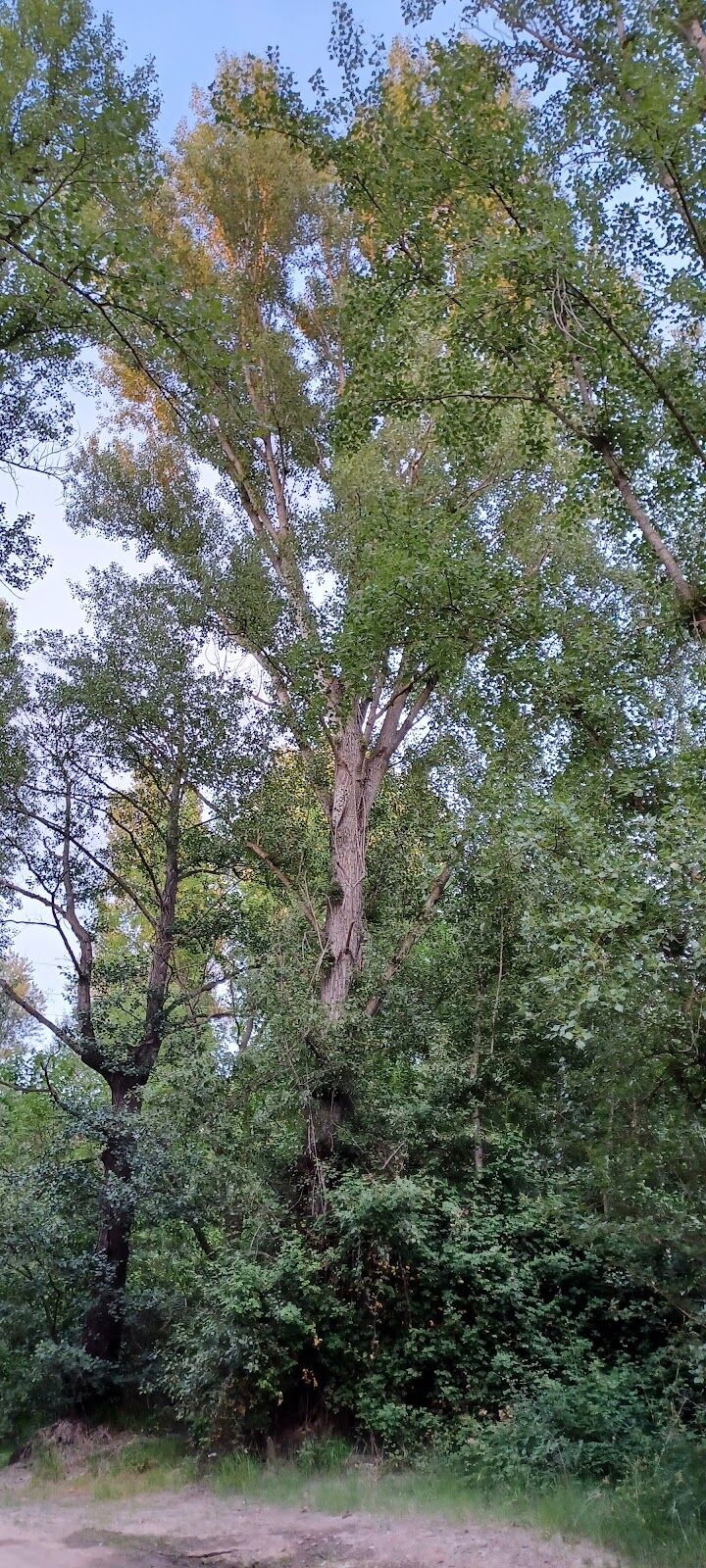 Imagen representativa de la localización