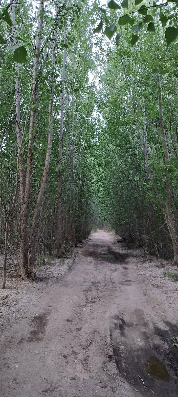 Imagen representativa de la localización