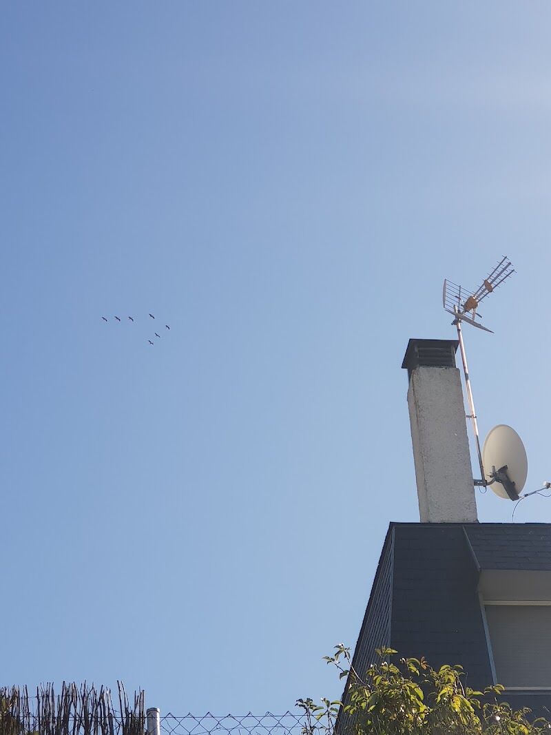 Imagen de Editorial Leibros, S.l.u.