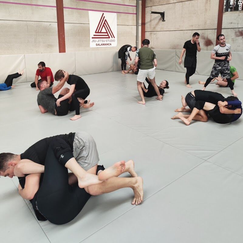 Imagen de Jiu Jitsu Studio Salamanca