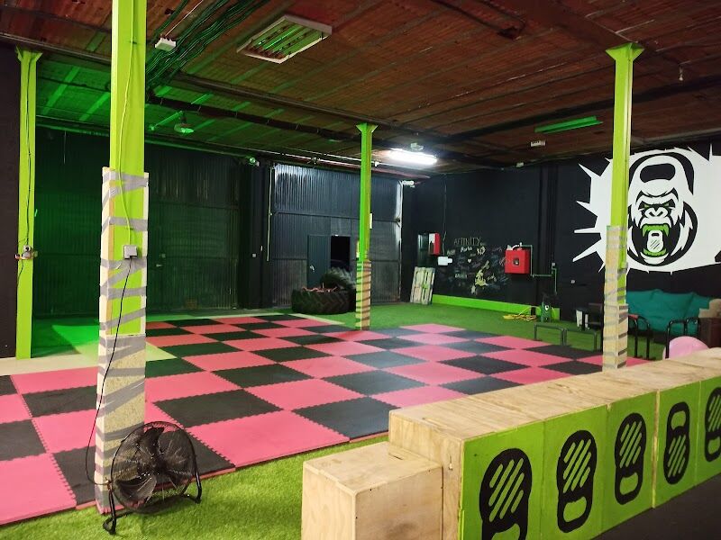 Imagen de Jiu Jitsu Studio Salamanca