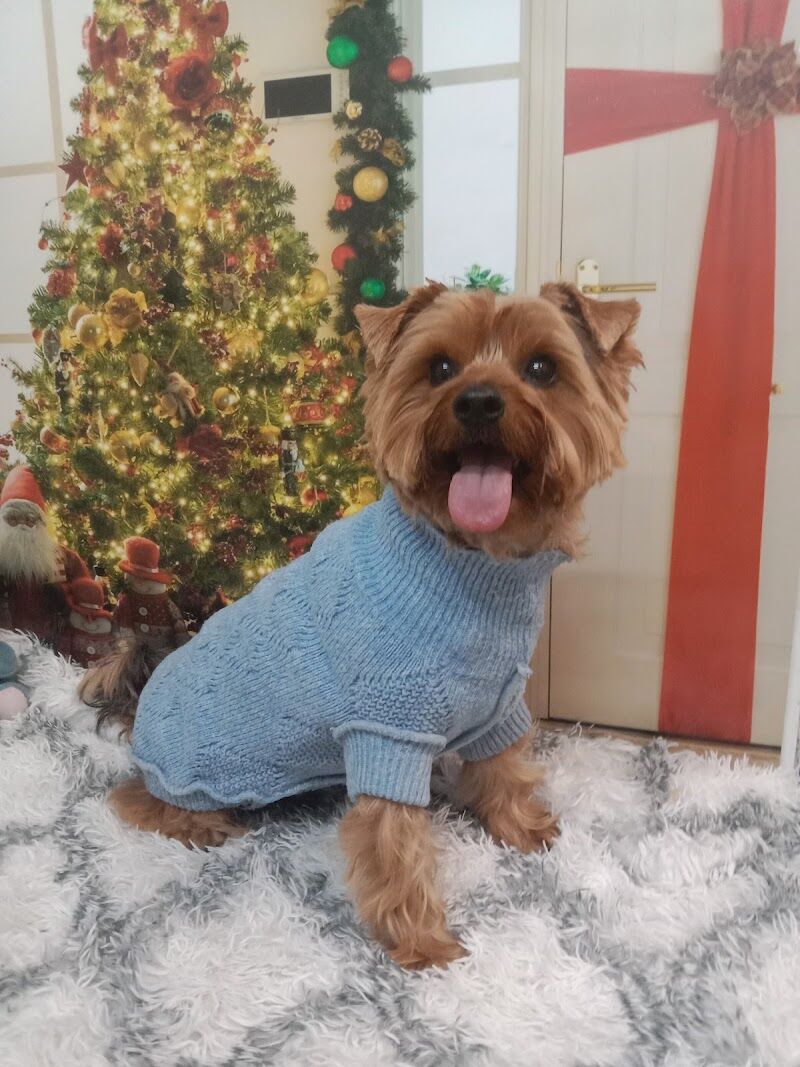 Imagen de negocio en Baño y spa para mascotas en Provincia de Salamanca