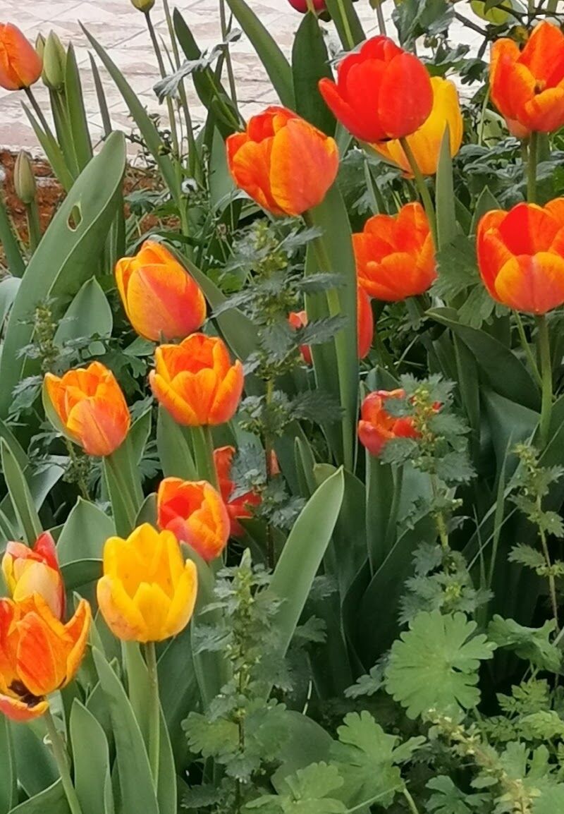 Imagen representativa de la localización