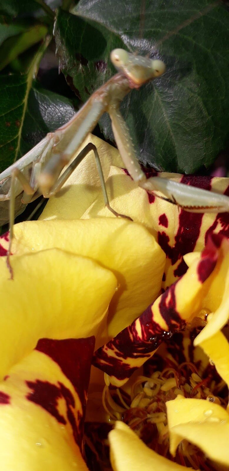 Imagen representativa de la localización