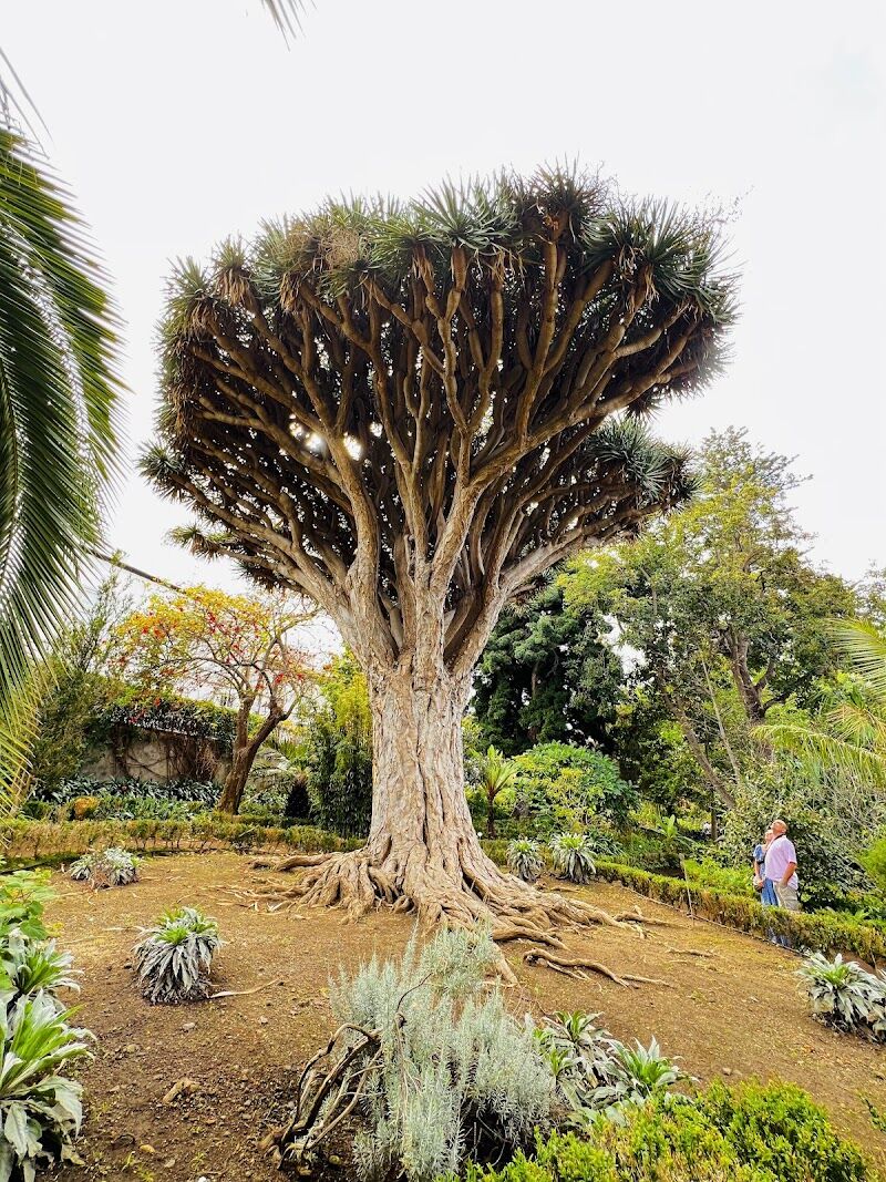 Imagen representativa de la localización