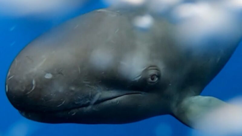 Imagen representativa de la localización