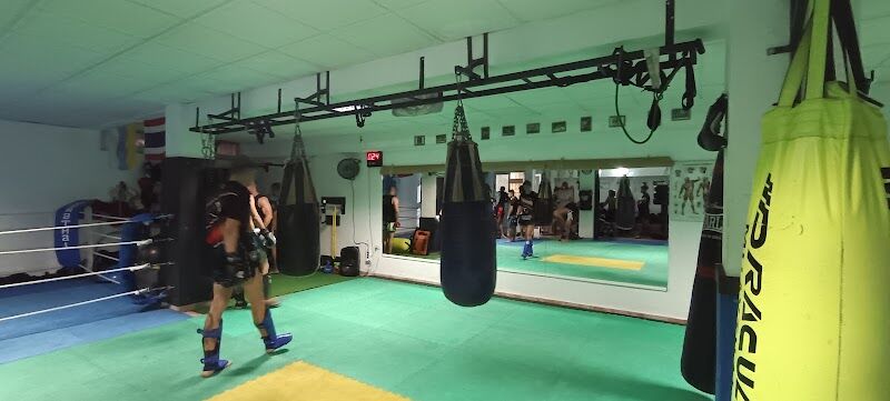 Imagen de negocio en Artes marciales en Puerto de la Cruz