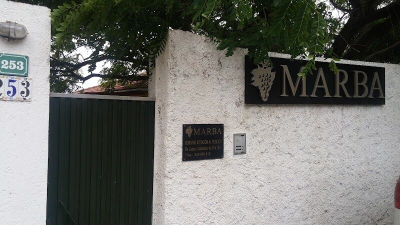 Imagen de negocio en Bodega en Tegueste