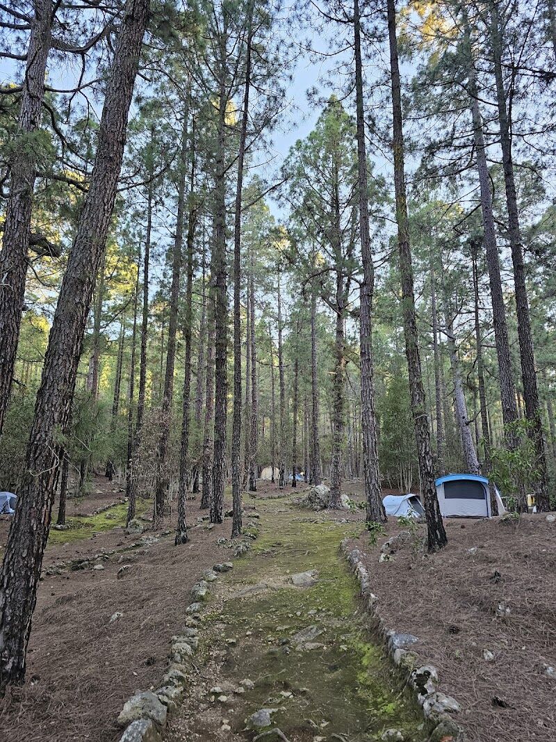 Imagen de negocio en Camping en Provincia de Santa Cruz de Tenerife