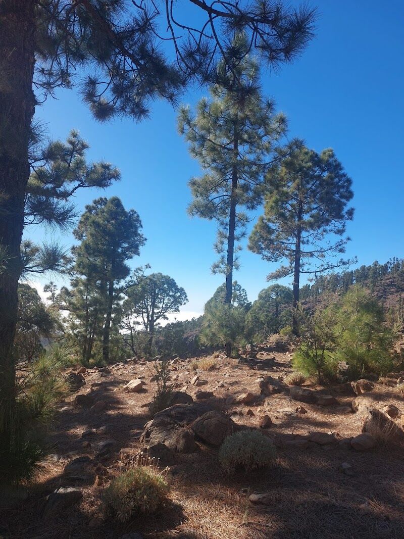 Imagen de negocio en Camping en Adeje