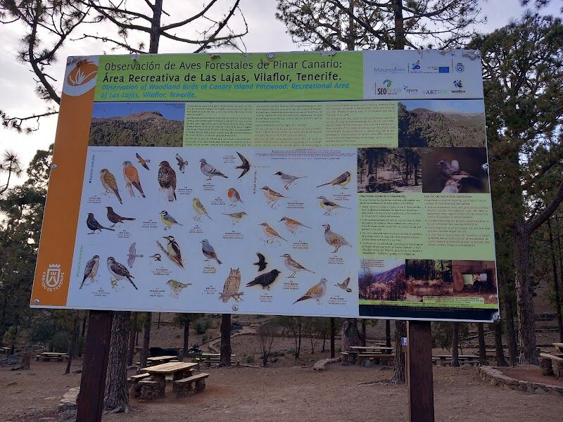 Imagen de Zona Recreativa las Lajas