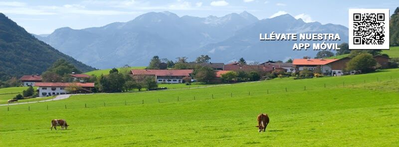 Imagen de negocio en Carnicería en Provincia de Santa Cruz de Tenerife