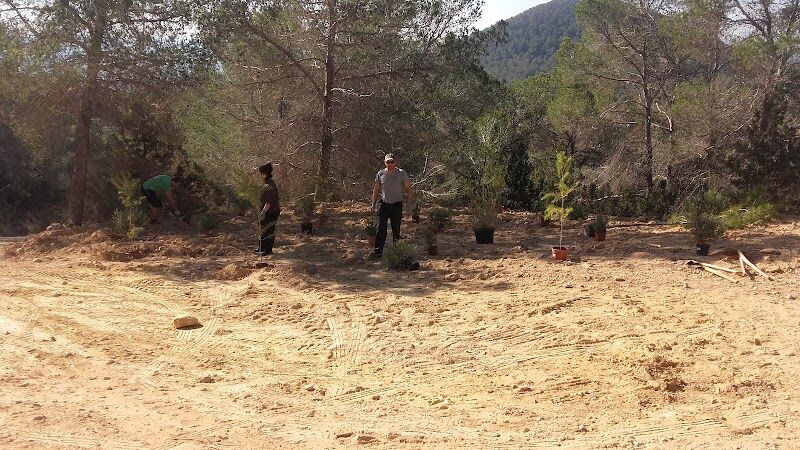 Imagen de Campamento Cala Jondal