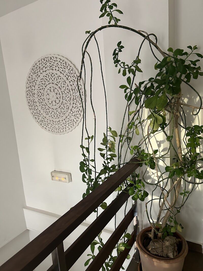 Imagen de Agoyoga Ibiza