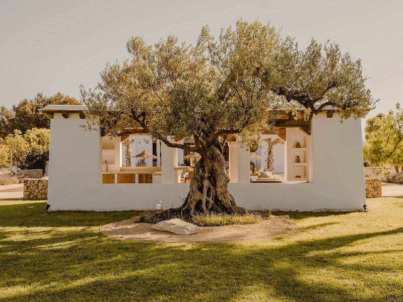 Imagen de negocio en Estructuras exteriores en Sant Joan de Labritja