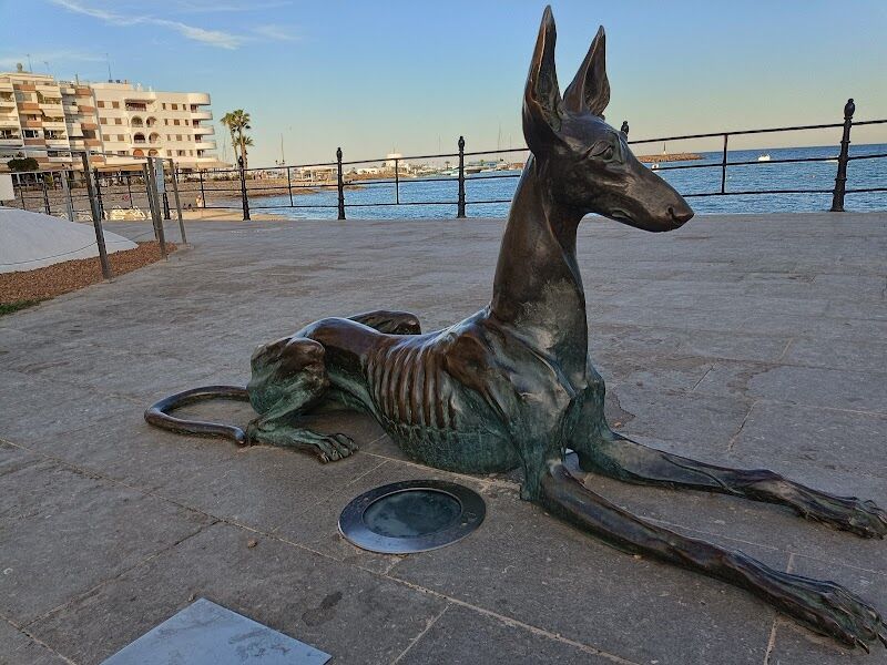 Imagen de negocio en Paseo de perros en Provincia de Islas Baleares