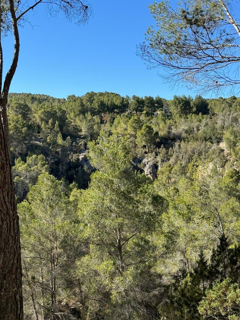 Imagen de negocio en Espacios y locales en Sant Joan de Labritja