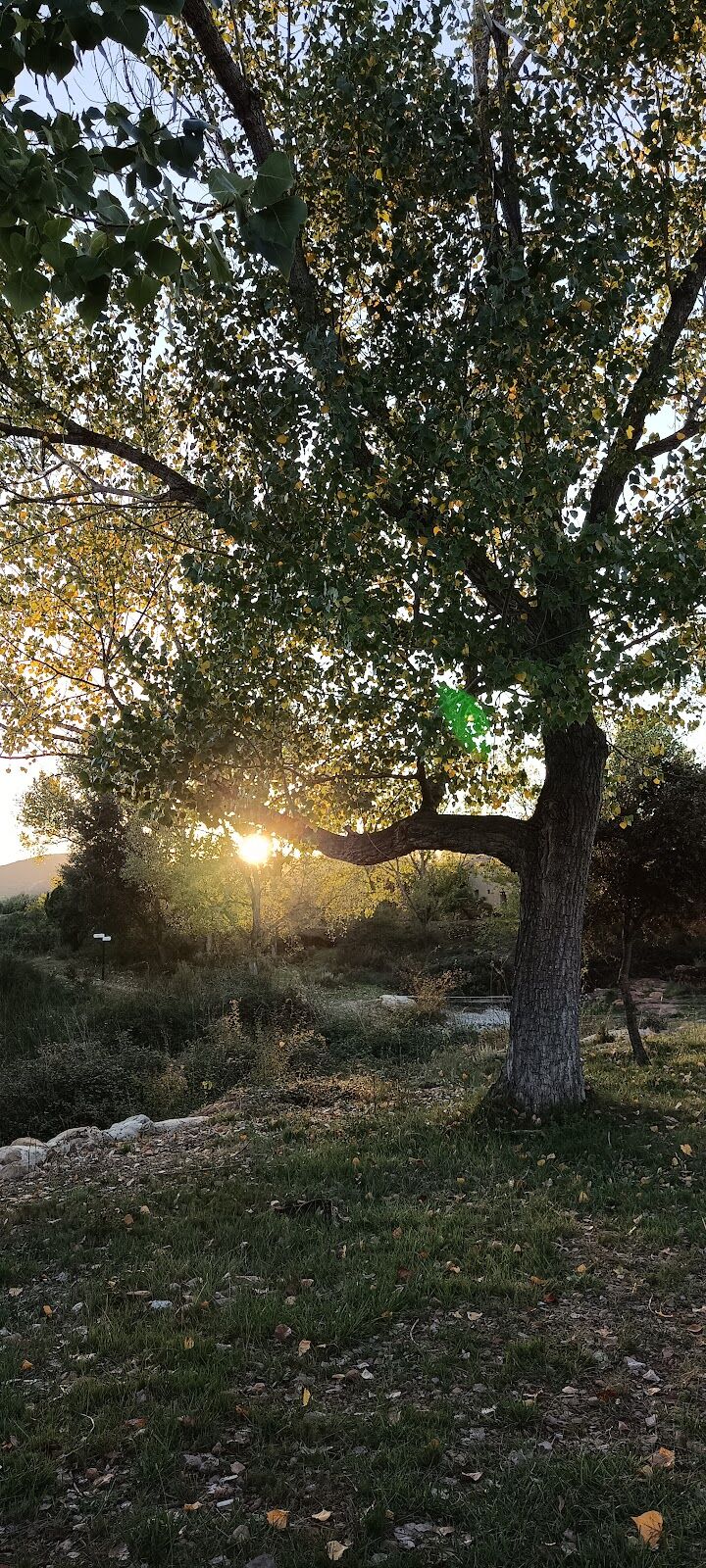 Imagen de negocio en Actividades al aire libre en Provincia de Castellón