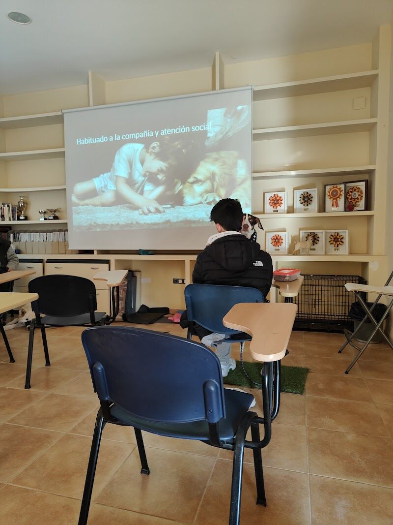 Imagen de Residencia Canina y Felina / Adiestramiento Canino !